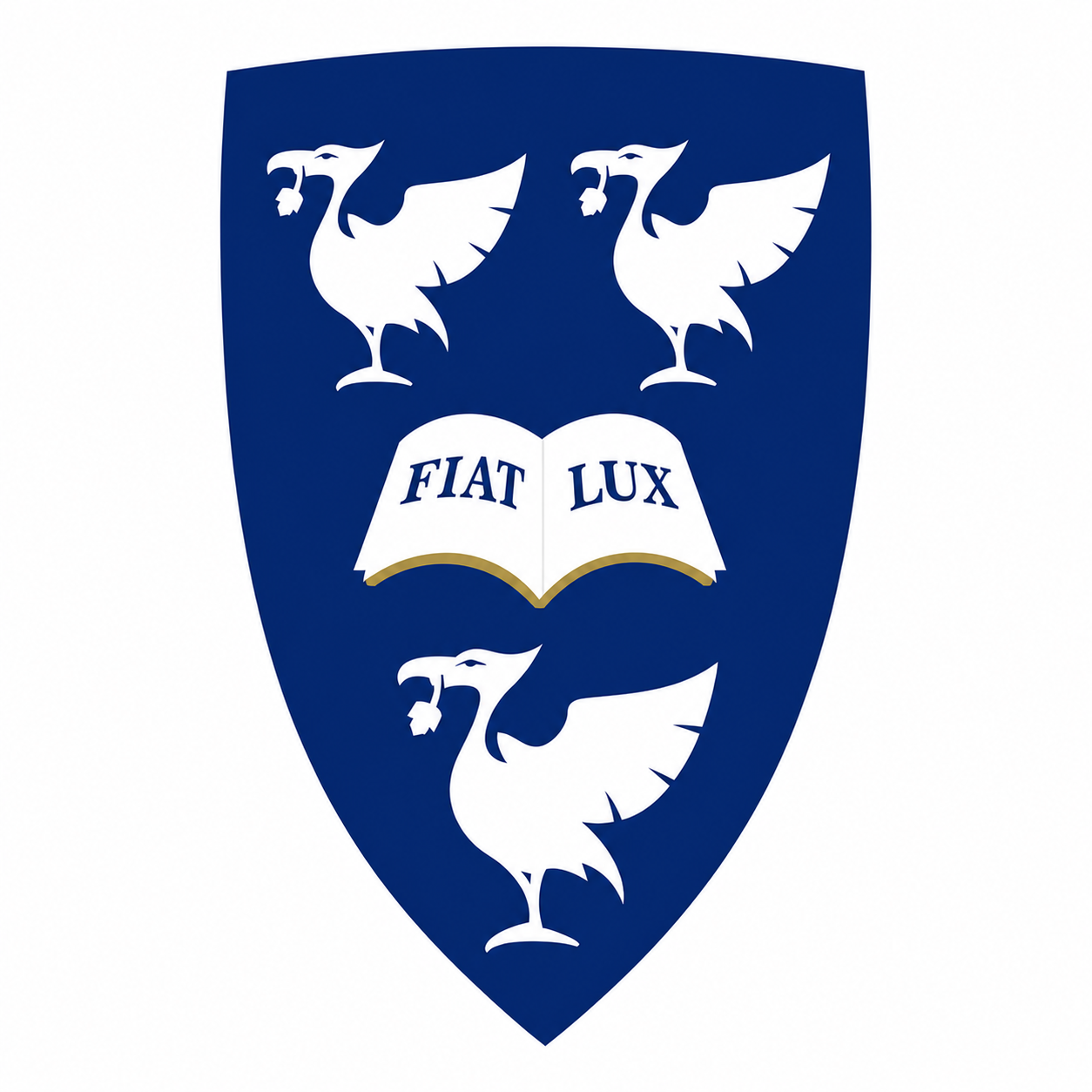 University of Liverpool logo